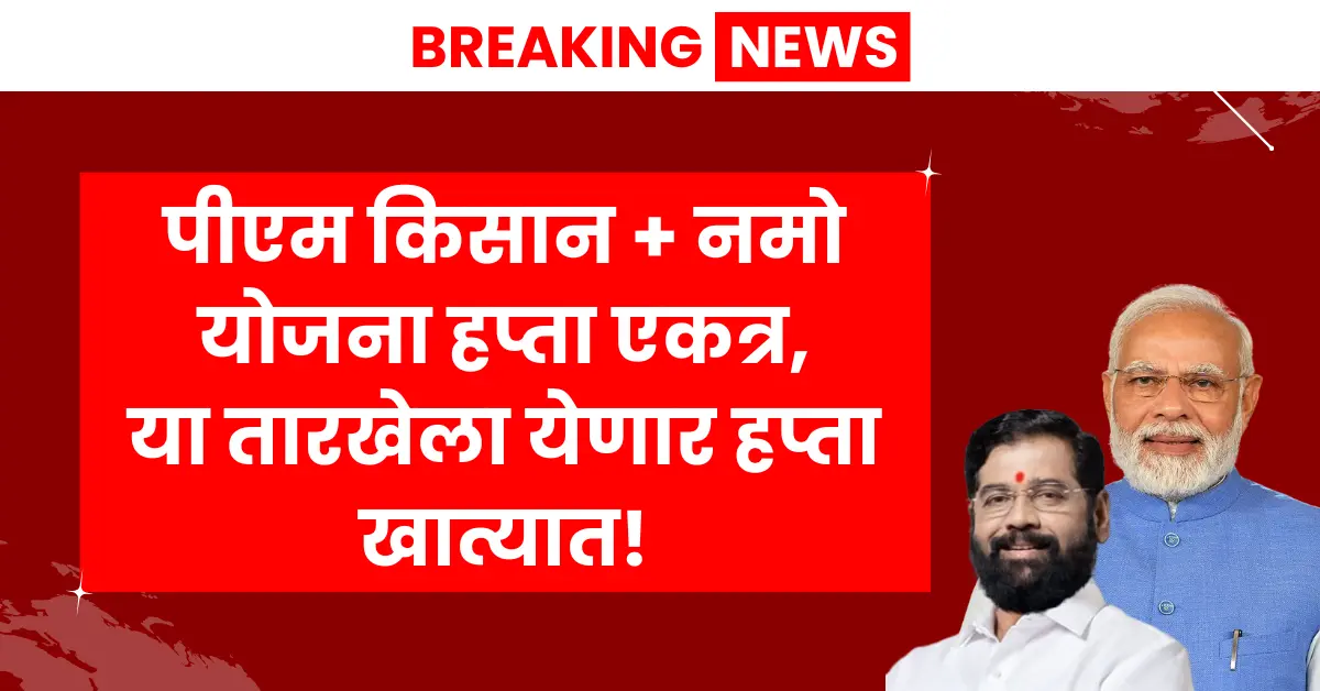 PM Kisan and Namo Shetkari - Eligible farmers to receive ₹12,000 under PM Kisan and Namo Shetkari Yojana combined installment in June 2025